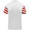 imageZITY Mens Flag Golf Polo Shirts Short Sleeve Tactical Collared Shirt Men Outdoor Moisture Wicking ShirtsLight Red